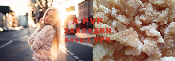 прущие грибы Абдулино