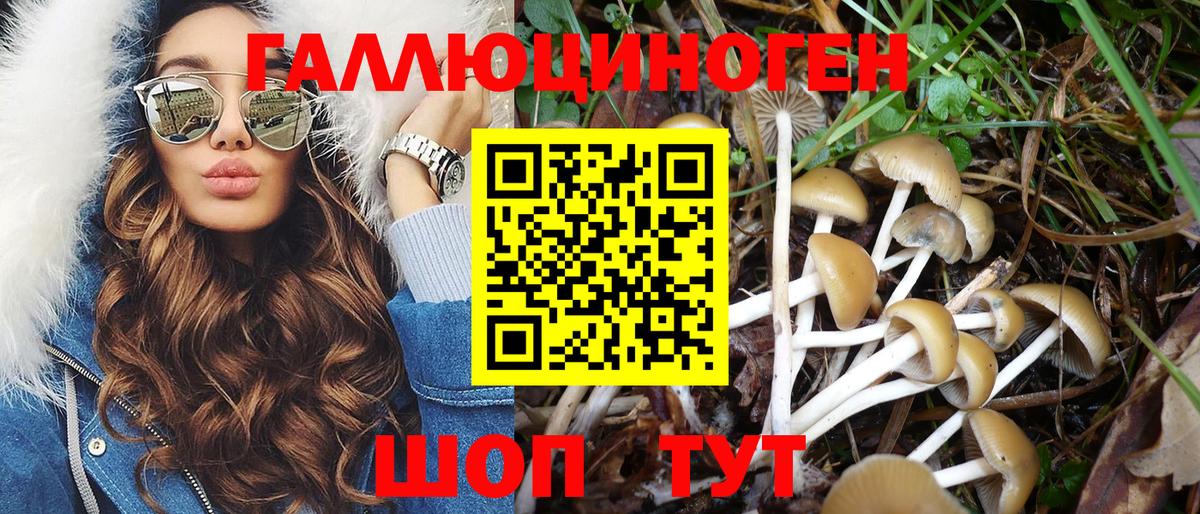 Урус-Мартан  Псилоцибиновые грибы GOLDEN TEACHER  Галлюциногенные грибы Psilocybine cubensis  Вход с VPN 