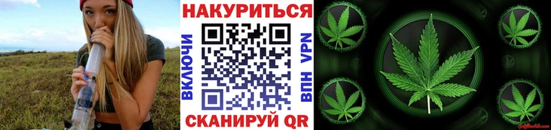 Шишки марихуана OG Kush  Урус-Мартан 